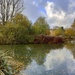 Barnes Pond by fishers