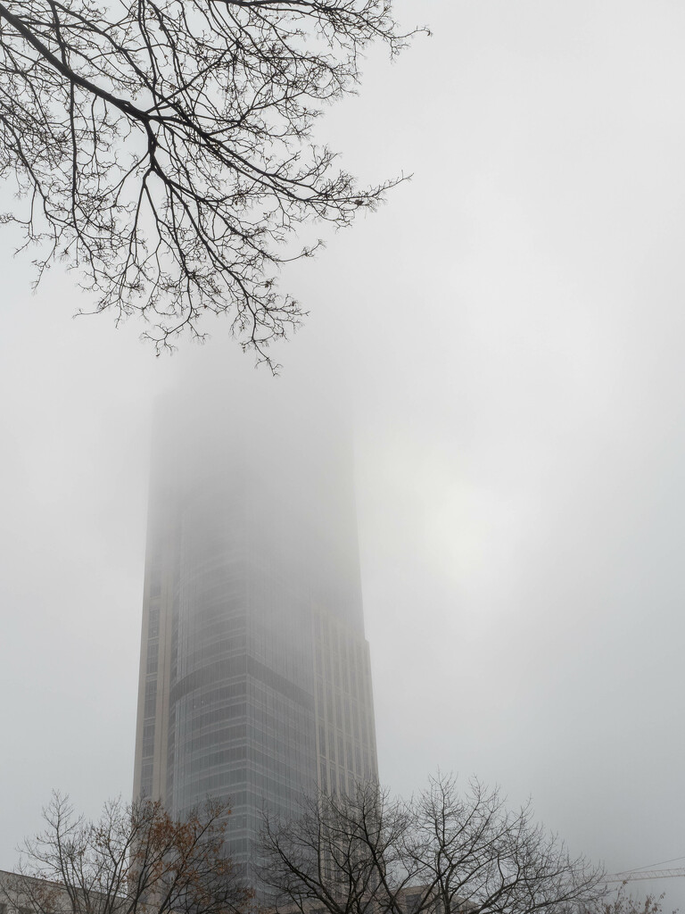 A foggy morning by haskar