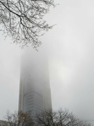 16th Nov 2023 - A foggy morning