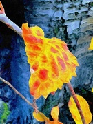 16th Nov 2023 - Autumn Art (16)