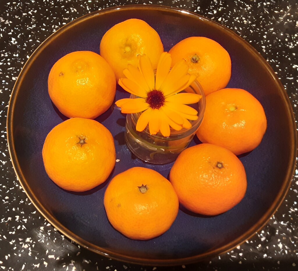 Calendula and Clementines  by grace55