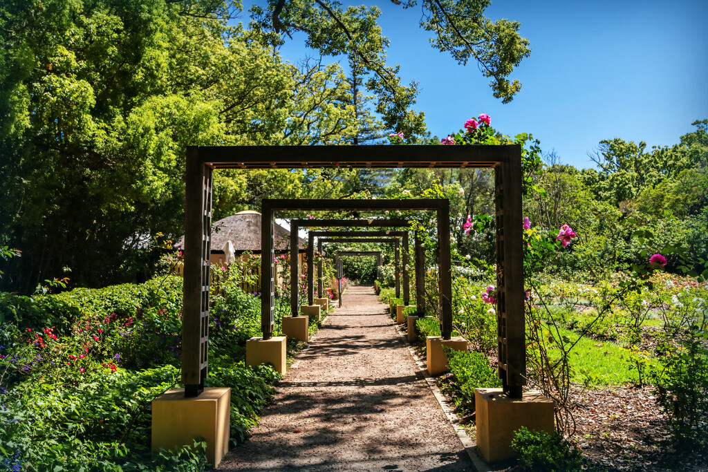 The pergolas by ludwigsdiana