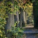 Autumn Path by casablanca