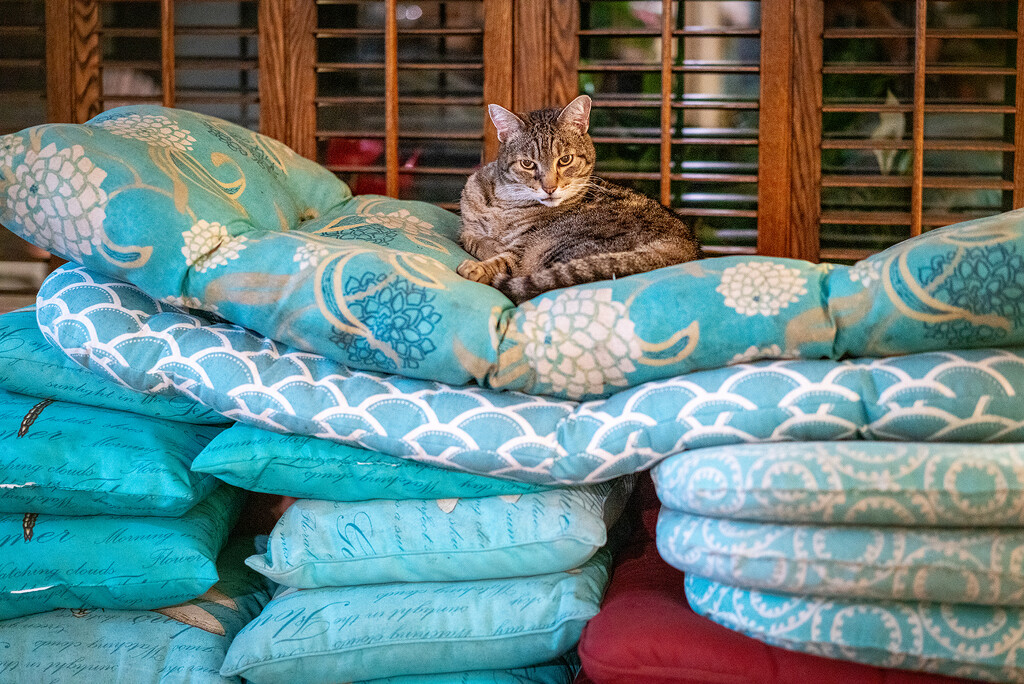 The Princess and the Pea by Weezilou