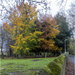 Autumnal Colours by pcoulson