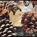 Oak Leaves and Pinecones by eahopp