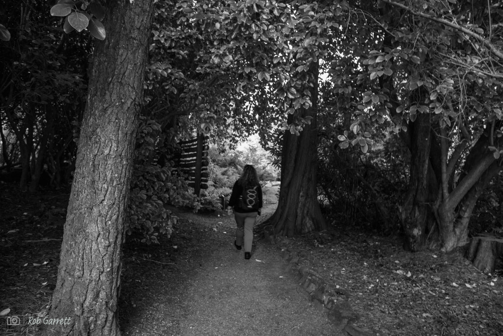 Stroll in the woods by robgarrett