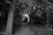 14th Nov 2023 - Stroll in the woods