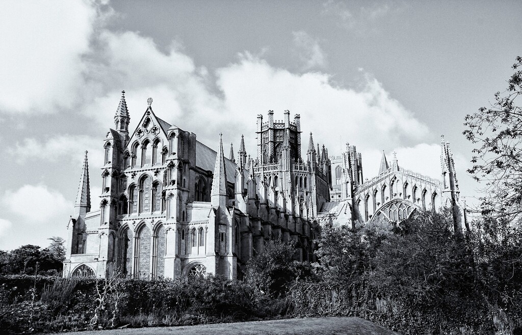 Ely Cathedral by allsop
