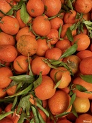 18th Nov 2023 - Mandarin oranges