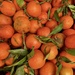 Mandarin oranges by monicac