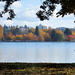 Fall Trees, cont. by seattlite