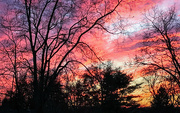 19th Nov 2023 - Colorful sunset