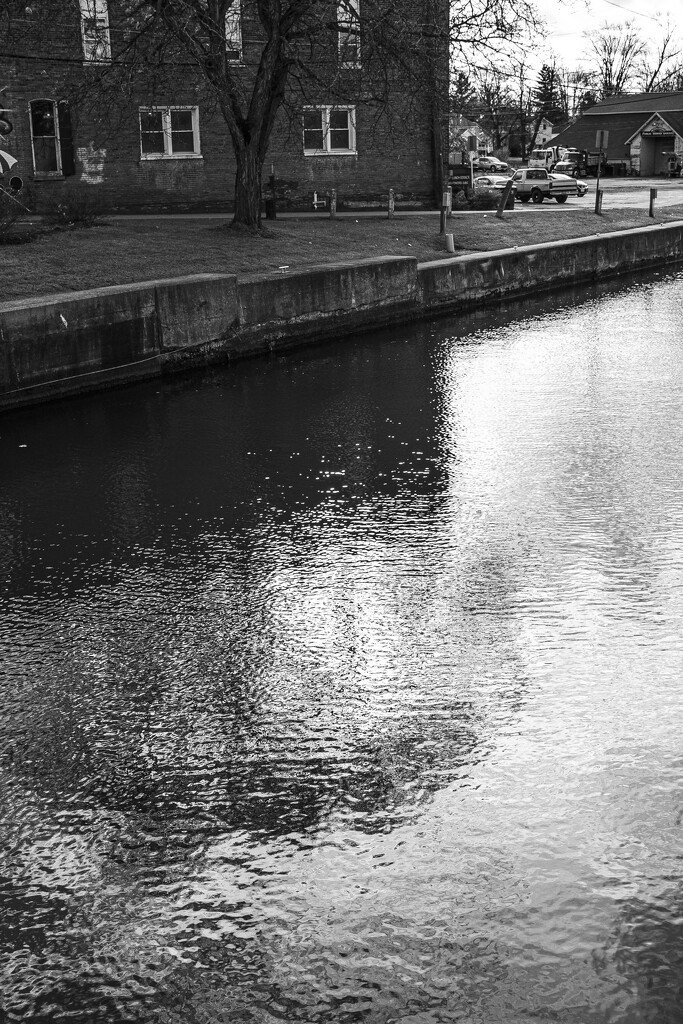 Sunlight dancing on the canal by darchibald