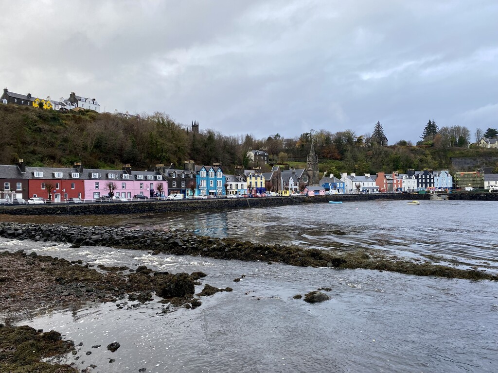 Tobermory  by gillian1912
