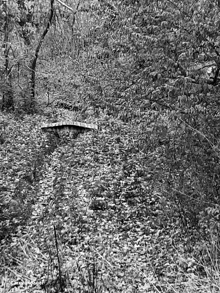 Old bridge over the creek by larrysphotos