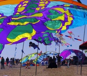 6th Nov 2023 - Kite Festival at Carolina Beach