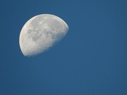 20th Nov 2023 - Morning moon...