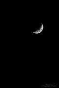 18th Nov 2023 - Moon