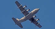 19th Nov 2023 - Think It's a Navy C-130 Aircraft!
