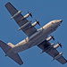 Think It's a Navy C-130 Aircraft! by rickster549