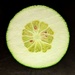 Lime! by kathybc