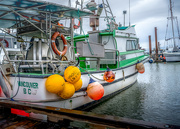 19th Nov 2023 - Fishing Boat 