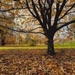 Autumn Art (20) by rensala