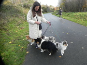 15th Nov 2023 - Lady with dogs
