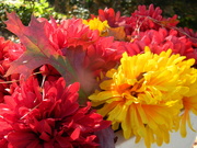 20th Nov 2023 - Flowers and Leaf on Neighbor's Mailbox 