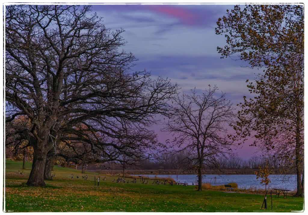 Twilight at Hickory Hills  by bluemoon