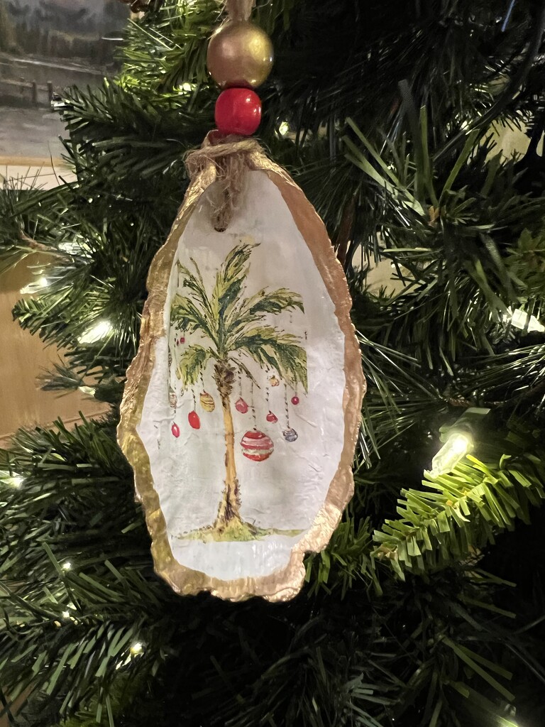 A seashell Christmas ornament from Carolina by louannwarren