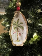 19th Nov 2023 - A seashell Christmas ornament from Carolina