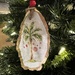 A seashell Christmas ornament from Carolina
