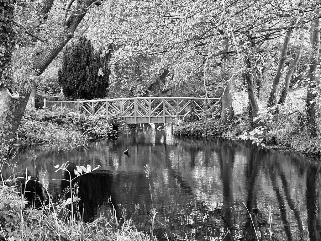 Buslingthorpe Pond by phil_sandford
