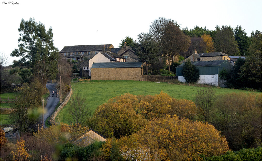 Back Garden View by pcoulson