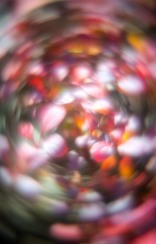 Bokeh #26/30 - motion by i_am_a_photographer