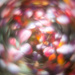Bokeh #26/30 - motion by i_am_a_photographer