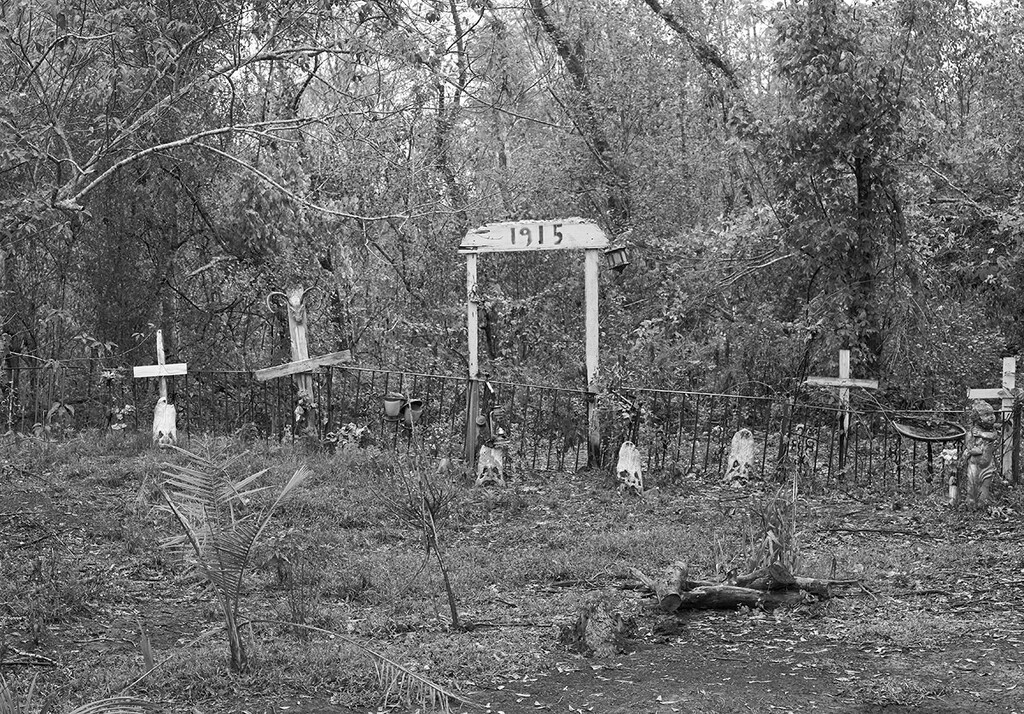 Swamp Cemetery  by gardencat