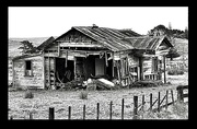 22nd Nov 2023 - An abandoned home on way into Kaitaia