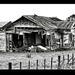An abandoned home on way into Kaitaia by Dawn
