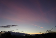 21st Nov 2023 - pink sky in the morning ...