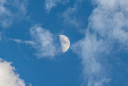 20th Nov 2023 - Half moon...
