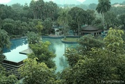 20th Nov 2023 - Hot Spring Resort