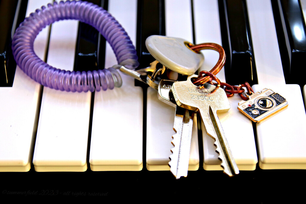 keys on keyboard by summerfield