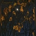 Moonlight on an Autumn Evening. by eahopp