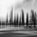 Toronto Skyline