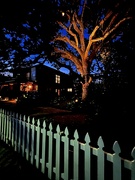 22nd Nov 2023 - Night scene, Charleston Historic District