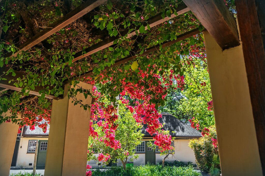 A peep into the courtyard by ludwigsdiana