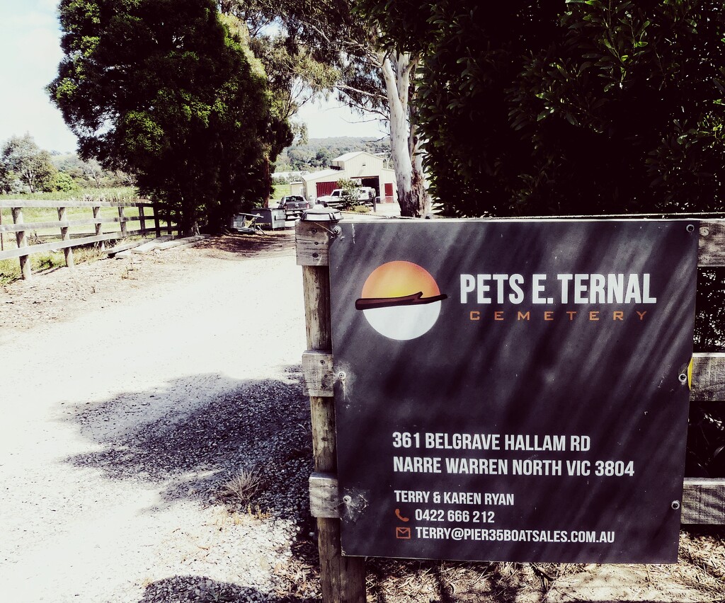 Pets e. Tetnal Pet Cemetery  by logman